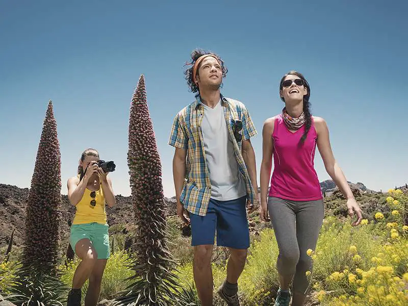 Teide Tour VIP
